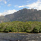 Auyántepuy desde el rio Churún