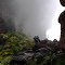 Ascending Auyan Tepuy, Gran Sabana, Venezuela