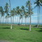 Playas de Falcón