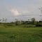 Ciénagas del río Yaracuy