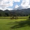 Vistas de Yaracuy
