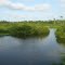 Río Taría