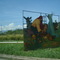 Pesebre en la autopista