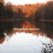 Summerfield,NC
