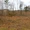 Logging by property owner destroying a beautiful mature forrest