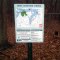 Nat Greene Trail Greensboro, NC