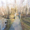 Reedy Fork Trail