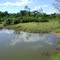 lago