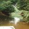 Coricho no Rio Paraguai - MT