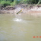 PESCA AO DOURADO, PESQUEIRO DO JORGE reservas 6599458139