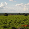 Curral e Barracões da Fazenda Água Limpa - Montes Claros de Goiás - GO