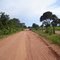 Estrada pra Lajinha