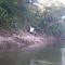 GARÇA NO ARAGUAIA