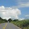 Rodovivia MT 358 - Trecho Barra do Bugres a Nova Olimpia - MT