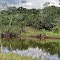 Barra do Bugres - MT