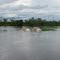 2009 – The worst flooding in the Amazon since 1953