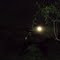 Natureza Noturna