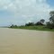 Paraná do Limão