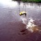 Salto do Dourado.