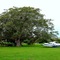 Pousada Arara Azul - Pascaria garantida.