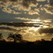 Iluminando o final da tarde de 05/06/2008