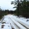 Snowy loop road at Whitesbog