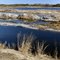 The Whitesbog