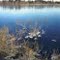 Whitesbog Cranberry Reservoir