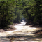 A Long and Winding Trail