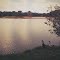 Patos ao fundo lago as margens do rio Teles Pires