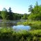 pond crab hollow