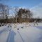 Winter Time in Nile Cemetery