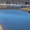 Spillway View