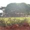 FAZENDA NA TO 242 RECANTO DAS ONÇAS
