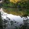 RIO COUTO (GLEBA MARTINS)