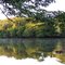RIO COUTO( GLEBA MARTINS)