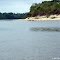 Aves - Rio Guaporé