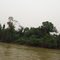 Rio Cuiaba