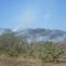 Cerrado em chamas - Chapada dos Veadeiros