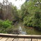 Rio Preto - Diamantino/MT