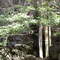 Caverna do Reis
