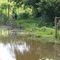 Mãe e meu primo na tentativa de pesca