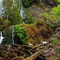 Anywhere, Oregon