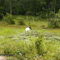 Tuiuiu no Pantanal