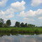 Hamme-Ufer