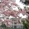 Spring 2002 in West Chester, PA