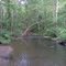 Newlin Grist Mill Park