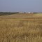 Cadastro de Compromisso Socioambiental - Fazenda Macaé - Cadastrada desde 2008