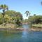 Lageado