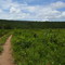 proximo a cachoeira